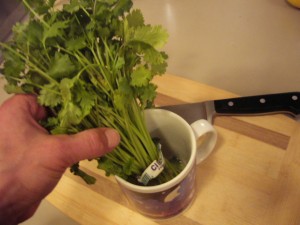 Fresh Herbs in a cup