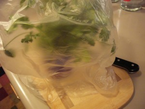 Step 2 - Put a bag loosely over the whoe thing
