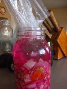 Kim Chi fermenting in jar